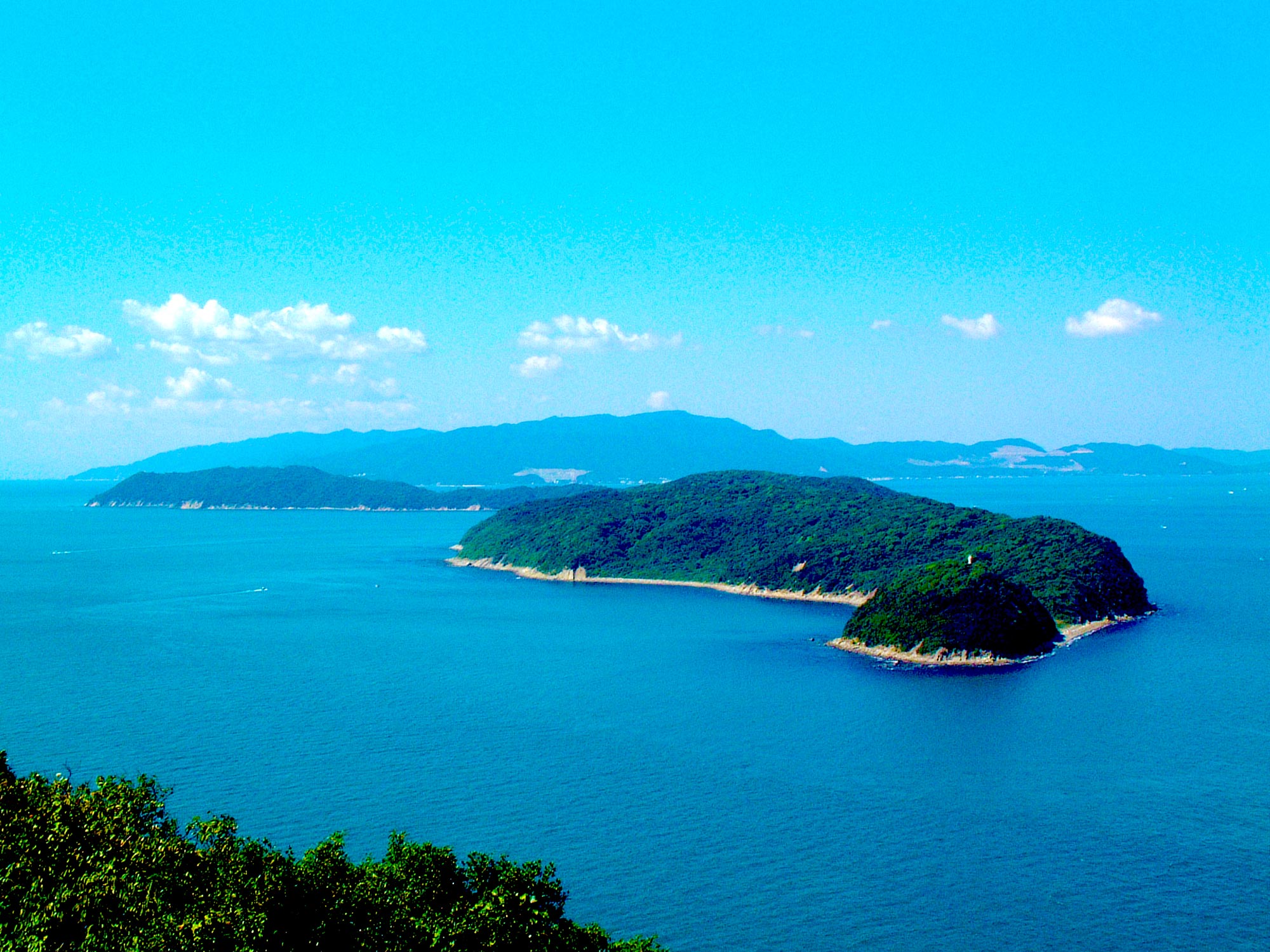 Tomogashima Islands | my secret Wakayama