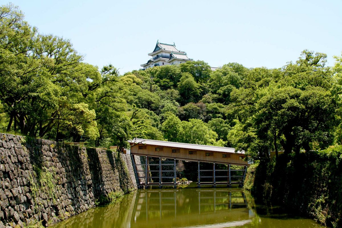 Ohashi Roka My Secret Wakayama